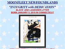 Tablet Screenshot of moonfleetnewfoundland.com